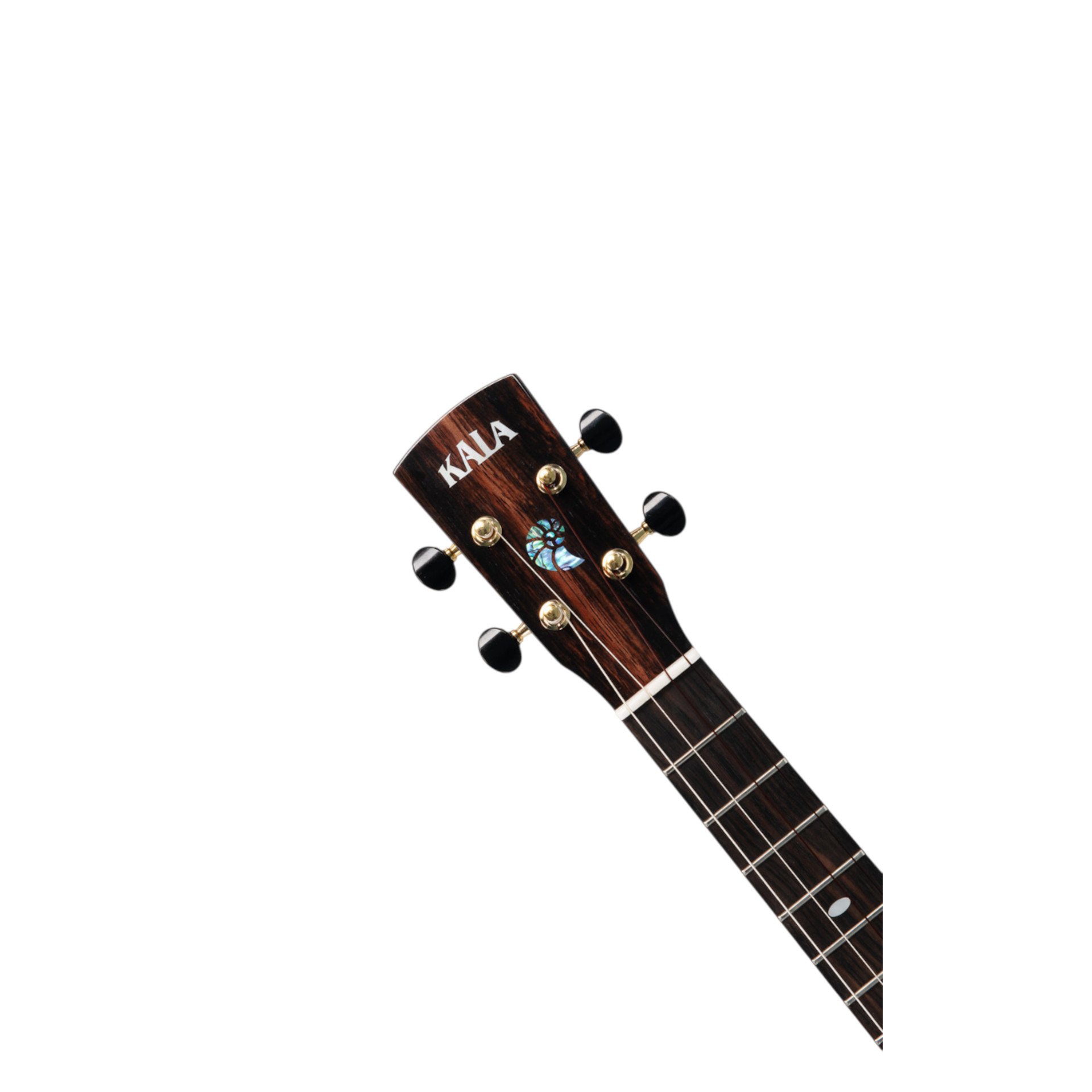 Revelator Nautilus Tenor Ukulele Horizon Blue Lagoon  Mango